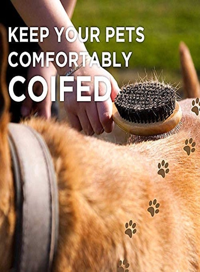 سايج سكوير فرشاة تنظيف وتقليم شعر الحيوانات الأليفة من الخشب الطبيعي من سيج سكوير، ذات وجهين من الدبابيس والشعيرات، مناسبة للكلاب والقطط ذات الشعر الطويل أو القصير (حجم صغير). - Image 2